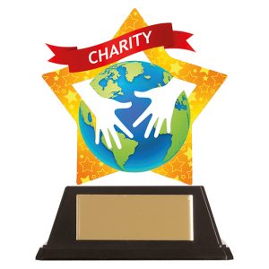 Mini-Star Charity Acrylic Plaque 100mm