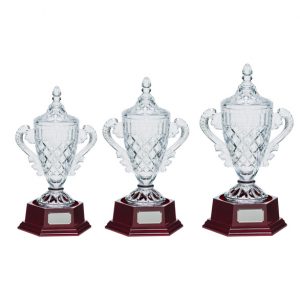 Lindisfarne Champions Cup Vase & Base