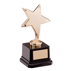 The Challenger Star Gold Award