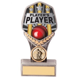 Falcon Cricket Player’s Player Award – 140mm