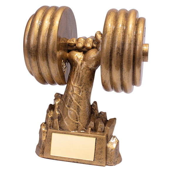 Weightlifting Trophies Falcon Power Lifting Gym Trophy 5 sizes FREE Engraving 