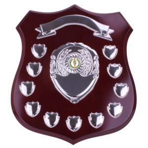 Cascade Annual Shield Award Plaque Trophy in 2 sizes *FREE ENGRAVING* 