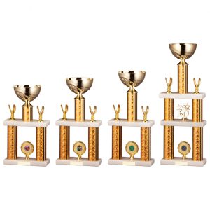 Starlight Champion Tower Trophy