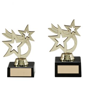 Hunter Stars Multi-Sport Trophy
