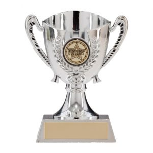 Serenity Plastic Silver Cup Silver 120mm
