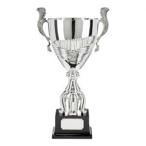 FREE LUXURY ENGRAVING * TR17580 PRESENTATION CUP Red Multi Sport Bowl 