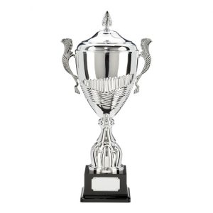 Silver Multi Sport Bowl FREE LUXURY ENGRAVING * TR18519 PRESENTATION CUP 