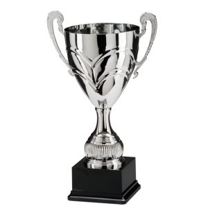 - TR17304A PRESENTATION CUP Gold Multi Sport Plastic FREE LUXURY ENGRAVING 