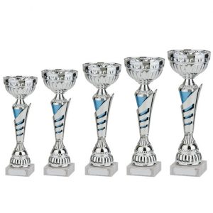 Vanquish Silver & Blue Cup