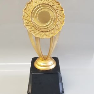 SPECIAL OFFER Icon Gold Multisport Trophy