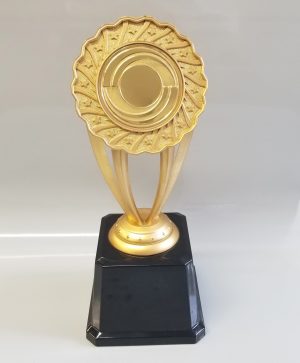 SPECIAL OFFER Icon Gold Multisport Trophy