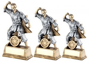 BRZ/GOLD/PEW FEMALE MARTIAL ARTS FIGURE WITH STAR BACKING TROPHY