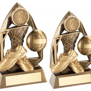 BRZ/GOLD NETBALL DIAMOND COLLECTION TROPHY