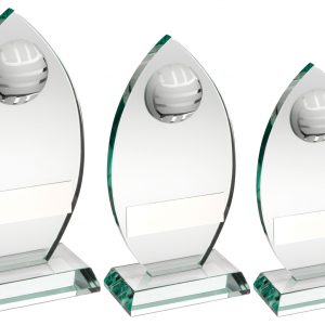Jade Glass Plaque With Half Cricket Ball Trophy 3 sizes free engraving 