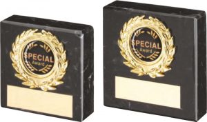 BLACK MARBLE AND GOLD TRIM TROPHY