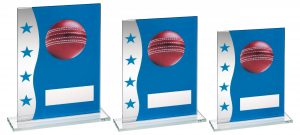 BLUE/SILVER PRINTED GLASS PLAQUE WITH CRICKET BALL IMAGE TROPHY