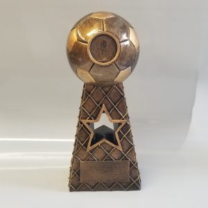 SPECIAL OFFER Gold Football and Net Trophy
