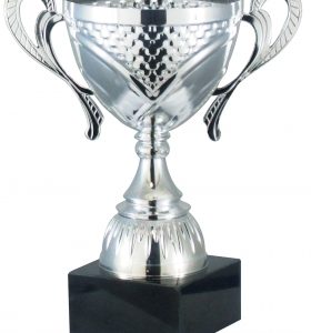 SPECIAL OFFER Silver Presentation Cup