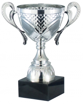 SPECIAL OFFER Silver Presentation Cup