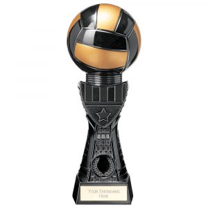 Black Viper Tower Netball Award