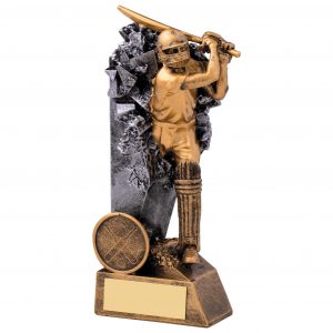 Breakout Cricket Batsman