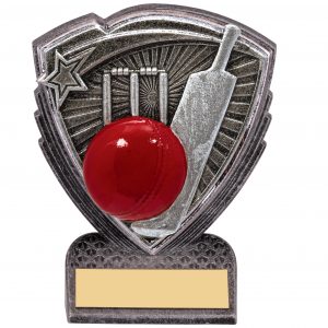 Utopia  Mini Cricket Award