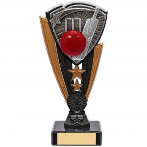 Utopia Cricket Award